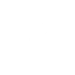 Dr. Andrea Planegger